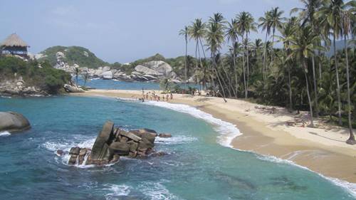 Palmera en las playas del Cabo San Juan del Guia  Parque Tayrona